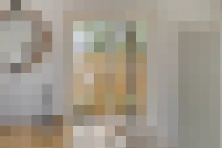 Dr. Langemeijerweg 11 Rheden thumbnail 23