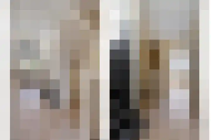 Dr. Langemeijerweg 11 Rheden thumbnail 24