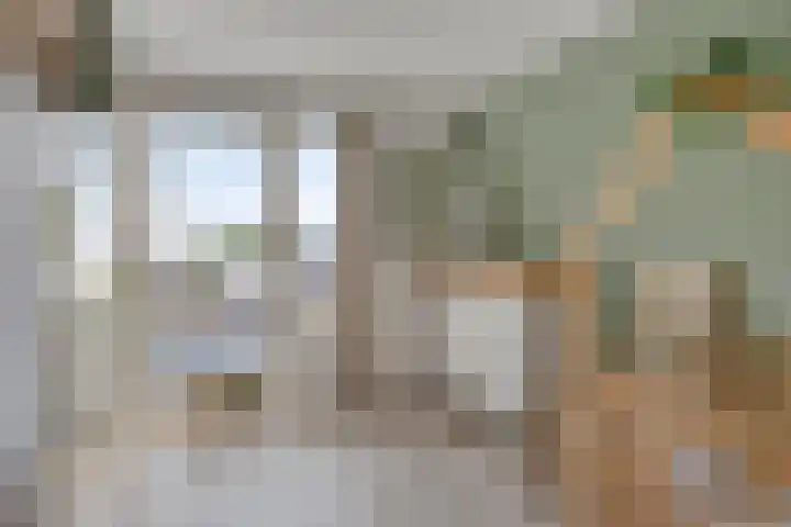Dr. Langemeijerweg 11 Rheden thumbnail 30
