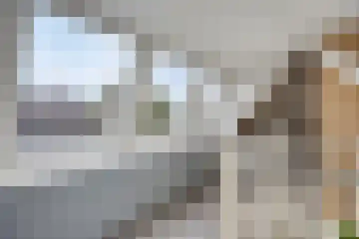 Dr. Langemeijerweg 11 Rheden thumbnail 34