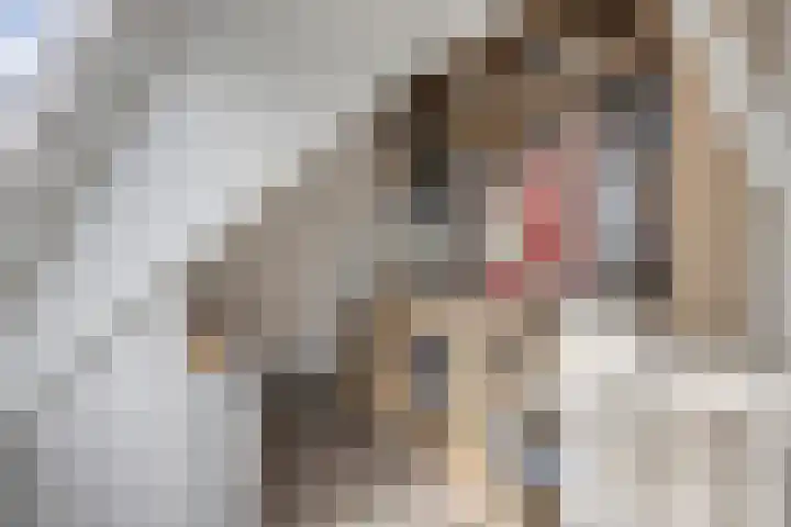 Dr. Langemeijerweg 11 Rheden thumbnail 35