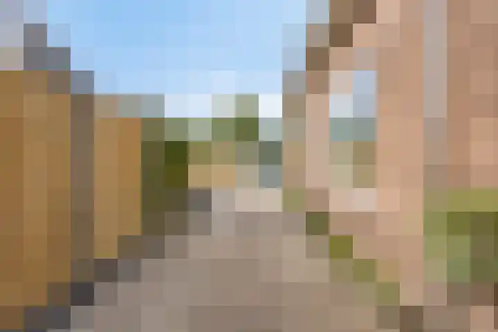 Dr. Langemeijerweg 11 Rheden thumbnail 36
