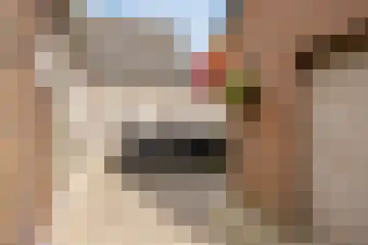 Dr. Langemeijerweg 11 Rheden thumbnail 37