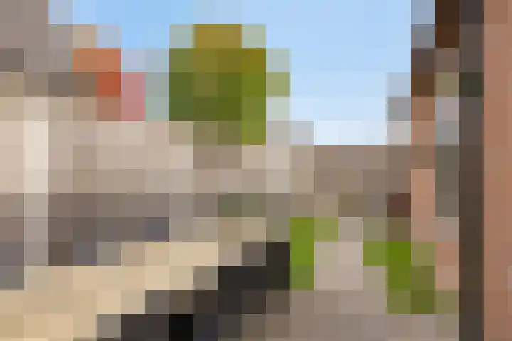 Dr. Langemeijerweg 11 Rheden thumbnail 38