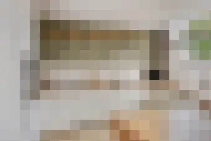 Dr. Langemeijerweg 11 Rheden thumbnail 4