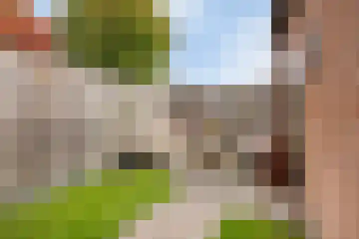 Dr. Langemeijerweg 11 Rheden thumbnail 40