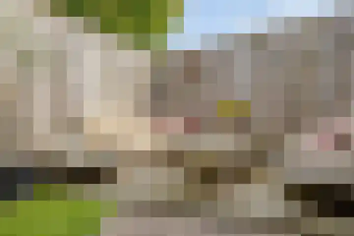 Dr. Langemeijerweg 11 Rheden thumbnail 41