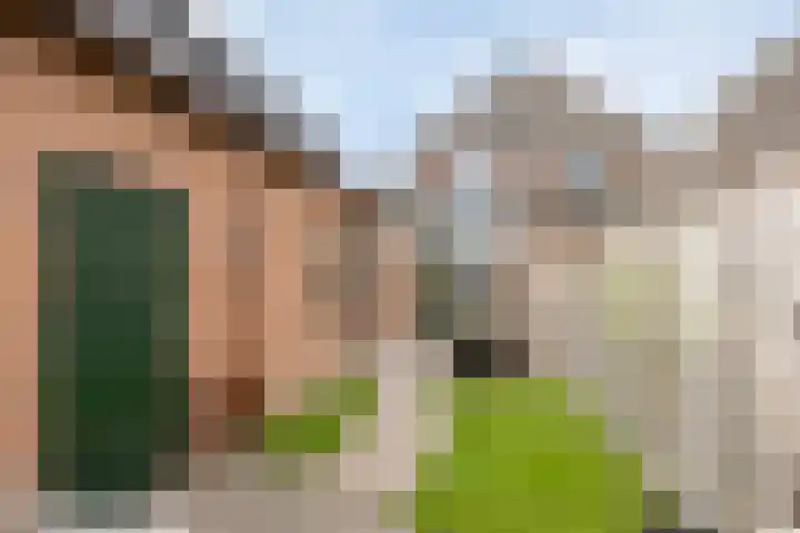 Dr. Langemeijerweg 11 Rheden thumbnail 42