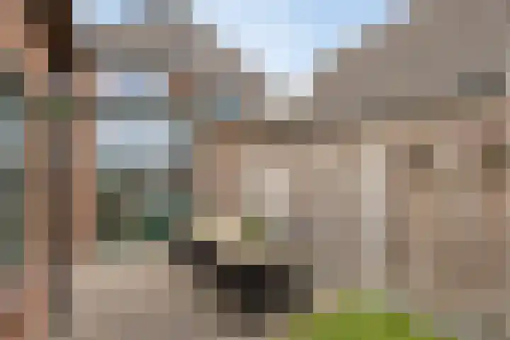 Dr. Langemeijerweg 11 Rheden thumbnail 43