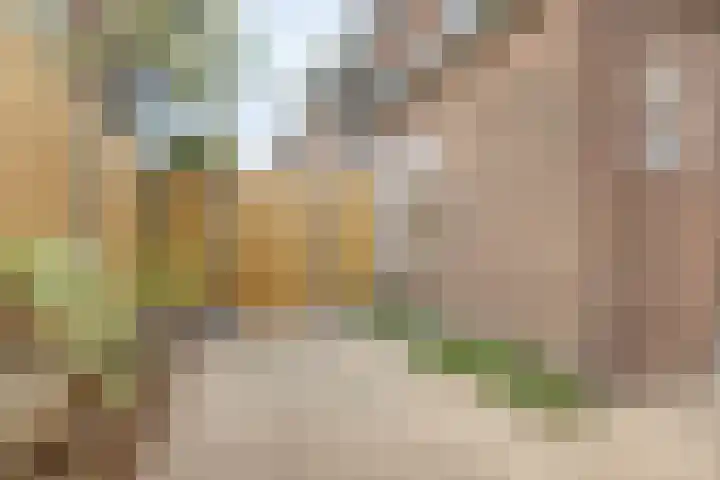 Dr. Langemeijerweg 11 Rheden thumbnail 44