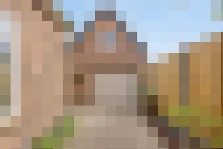 Dr. Langemeijerweg 11 Rheden thumbnail 45
