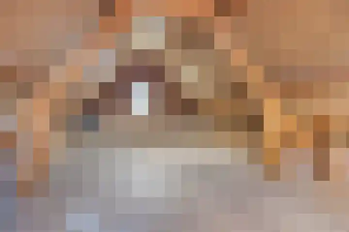Dr. Langemeijerweg 11 Rheden thumbnail 47