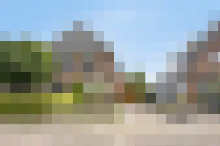 Dr. Langemeijerweg 11 Rheden thumbnail 48