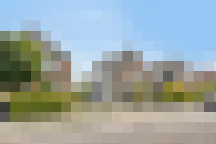 Dr. Langemeijerweg 11 Rheden thumbnail 49