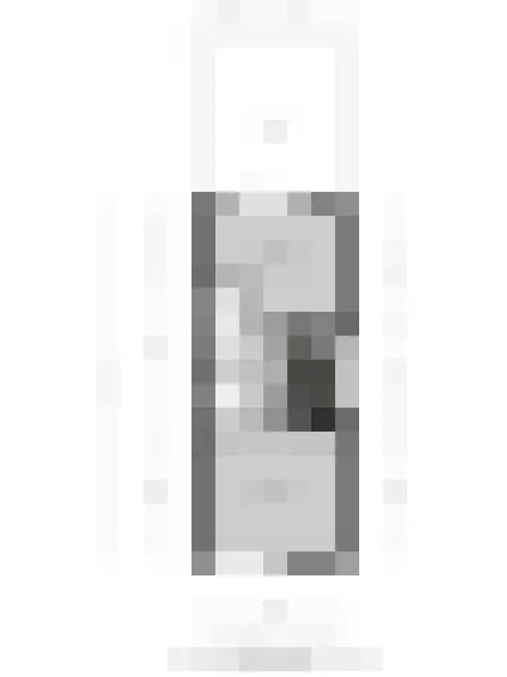 Dr. Langemeijerweg 11 Rheden thumbnail 51
