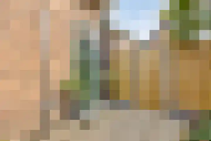Dr. Langemeijerweg 11 Rheden thumbnail 6