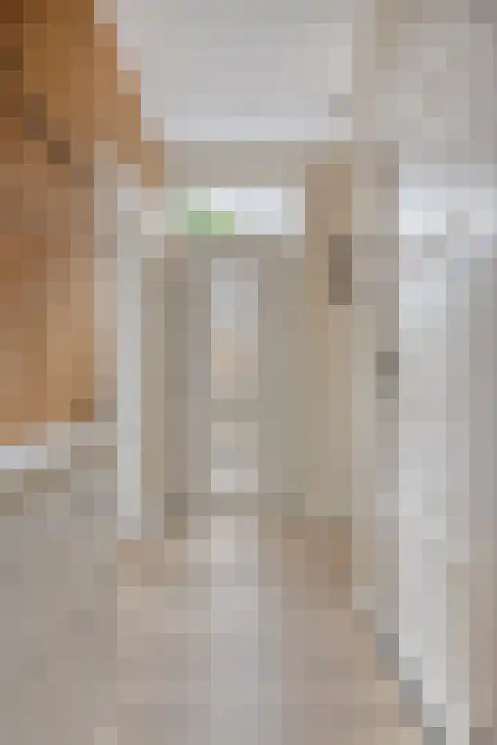 Dr. Langemeijerweg 11 Rheden thumbnail 7