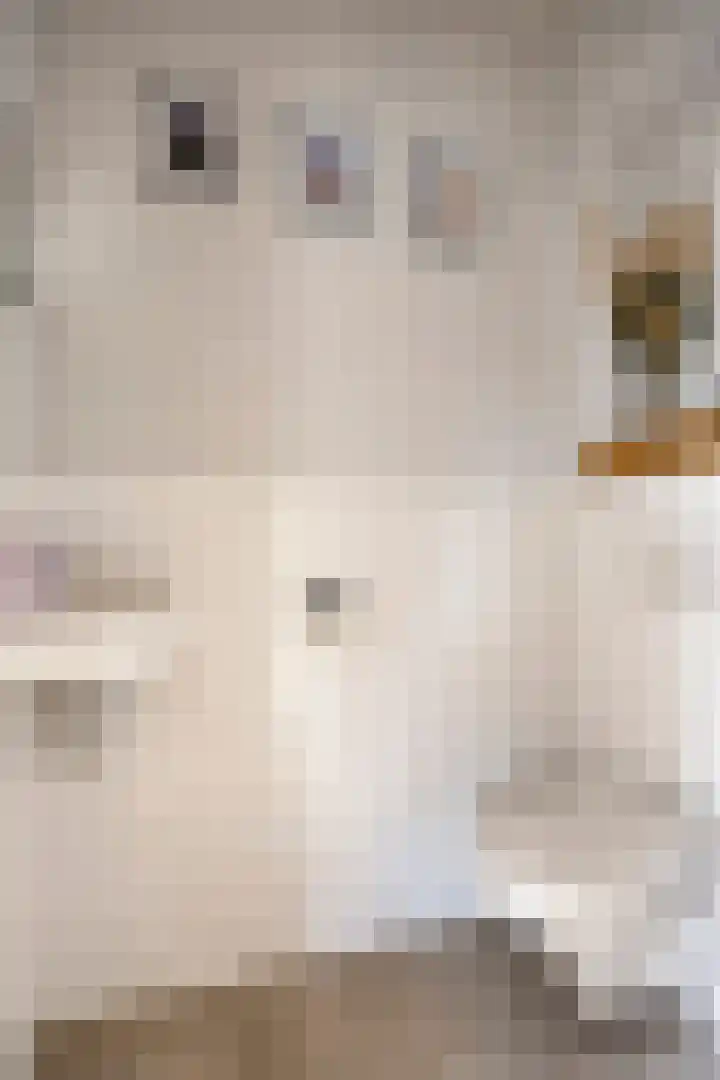 Dr. Langemeijerweg 11 Rheden thumbnail 8