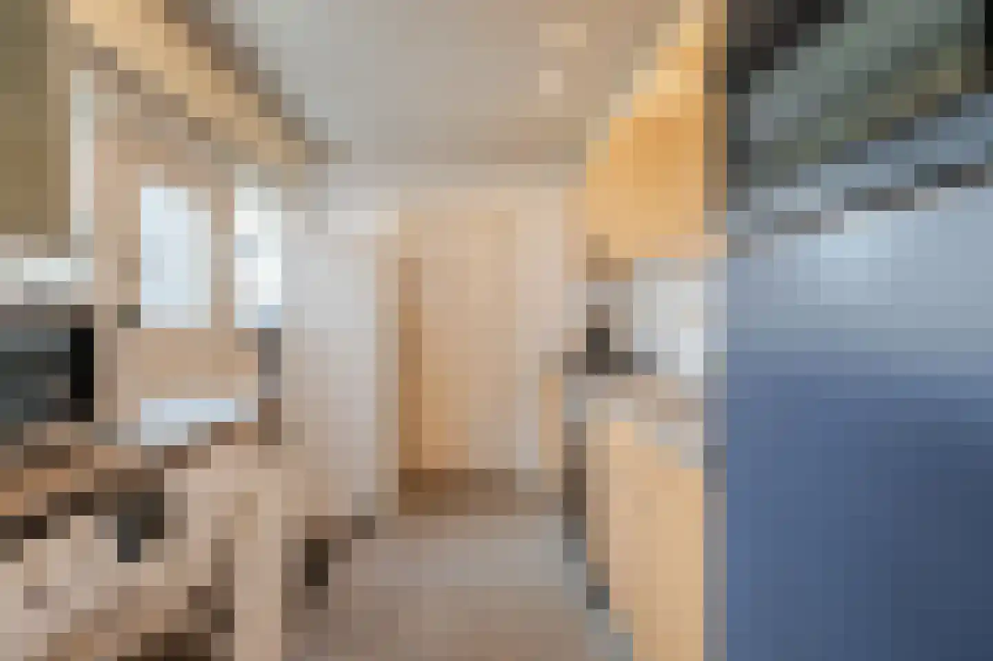 Dr. Langemeijerweg 12 Rheden thumbnail 10