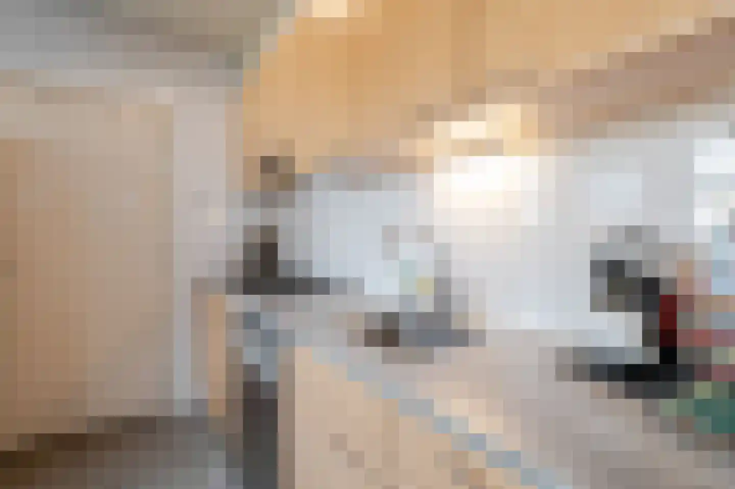 Dr. Langemeijerweg 12 Rheden thumbnail 11