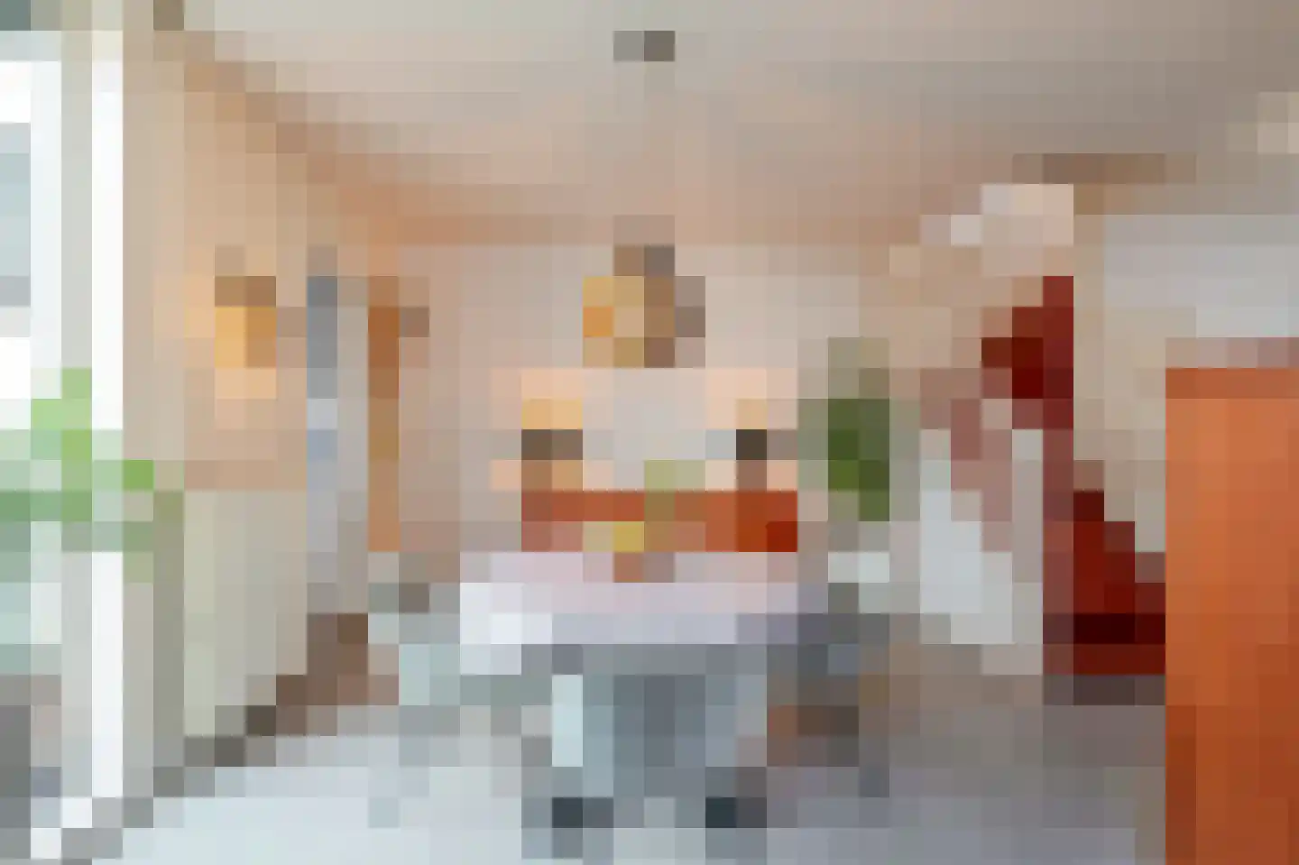 Dr. Langemeijerweg 12 Rheden thumbnail 12
