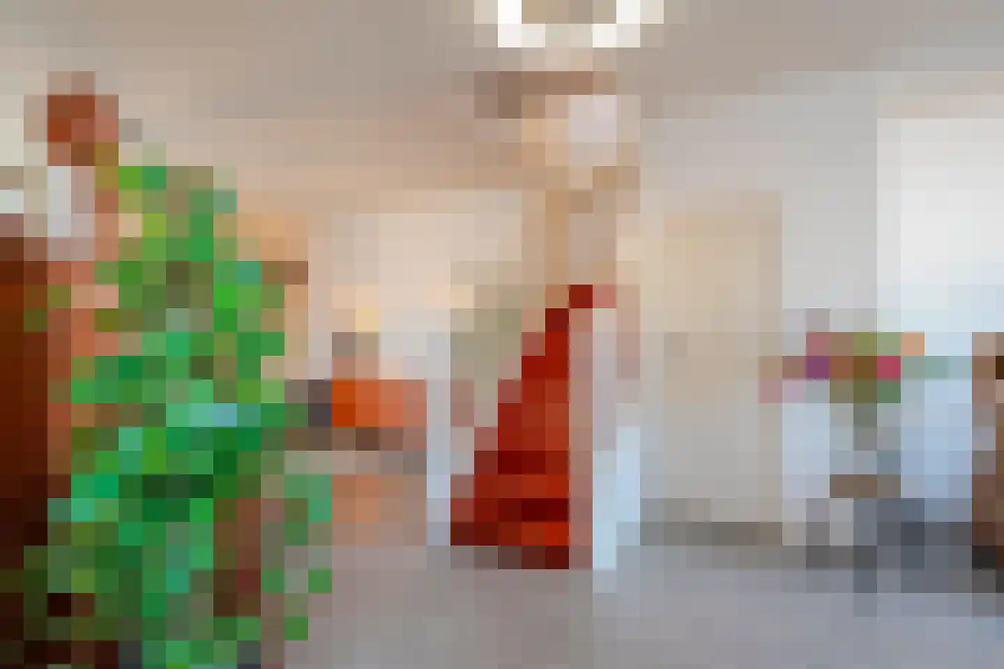 Dr. Langemeijerweg 12 Rheden thumbnail 13