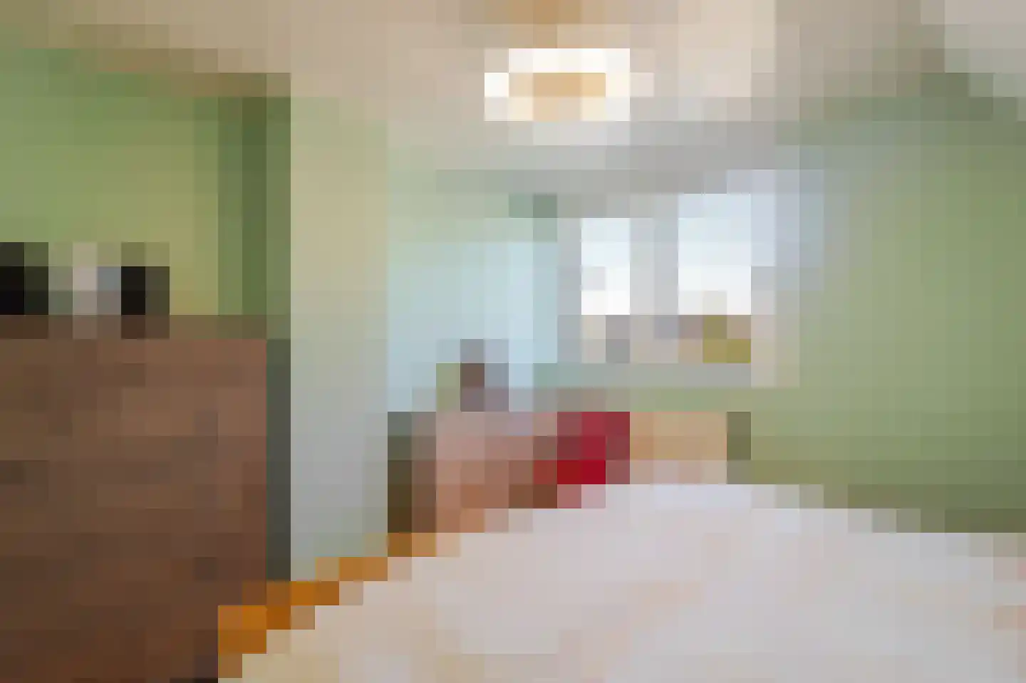 Dr. Langemeijerweg 12 Rheden thumbnail 16