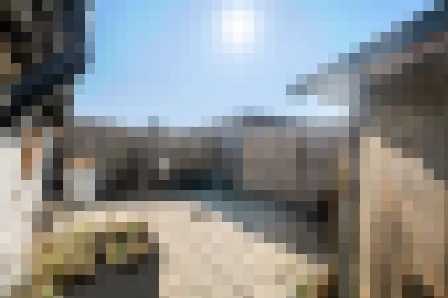 Dr. Langemeijerweg 12 Rheden thumbnail 24