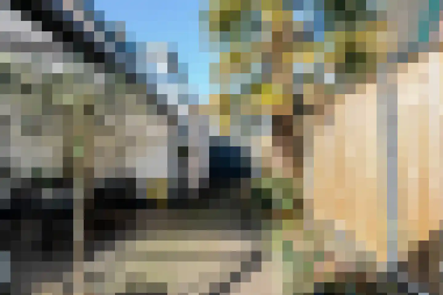 Dr. Langemeijerweg 12 Rheden thumbnail 26