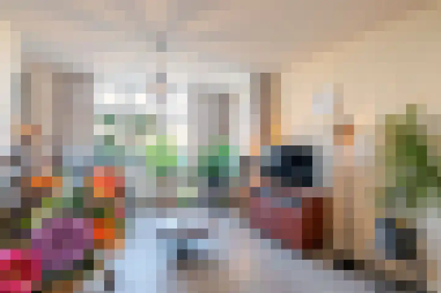Dr. Langemeijerweg 12 Rheden thumbnail 4