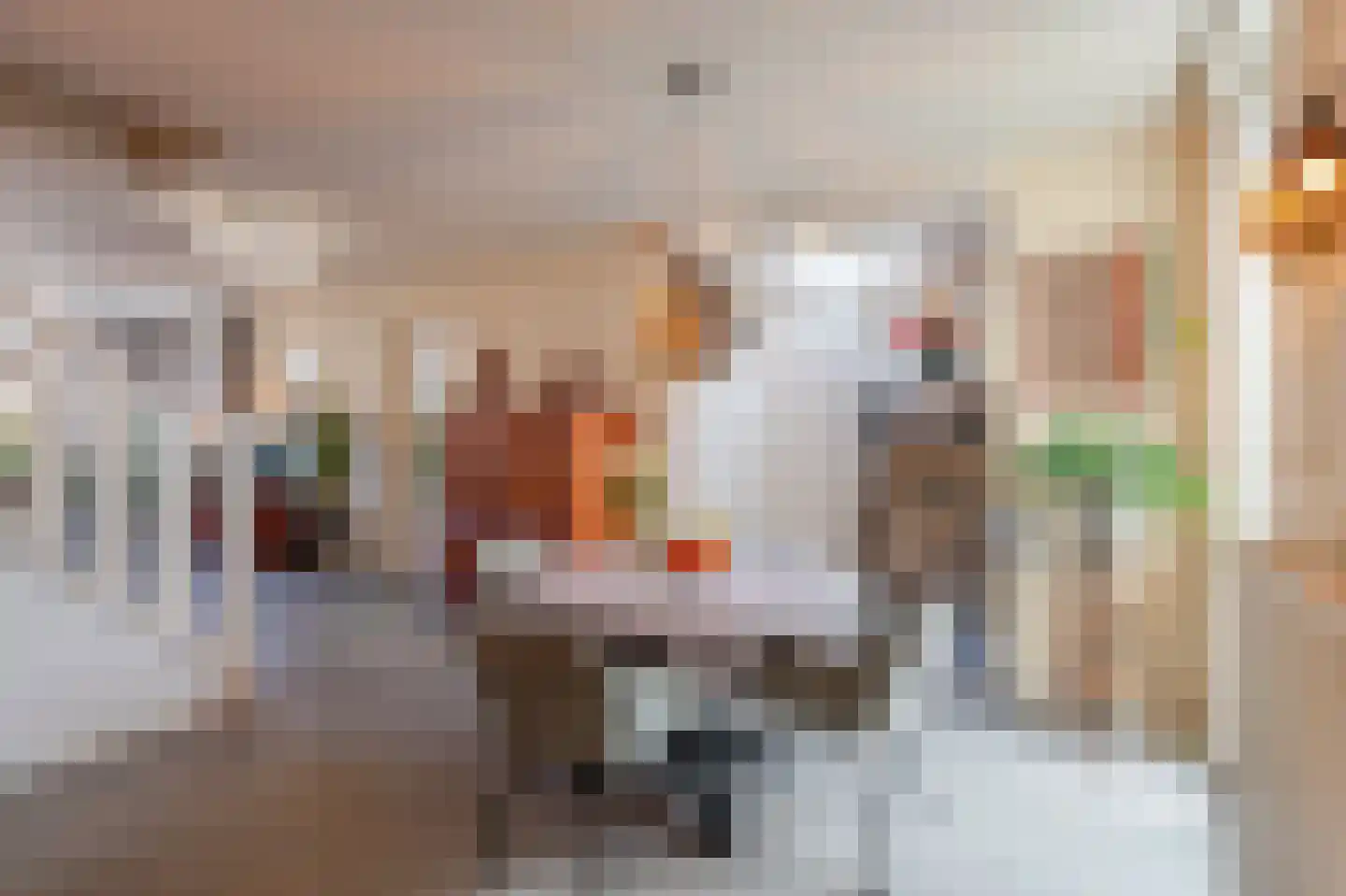 Dr. Langemeijerweg 12 Rheden thumbnail 7