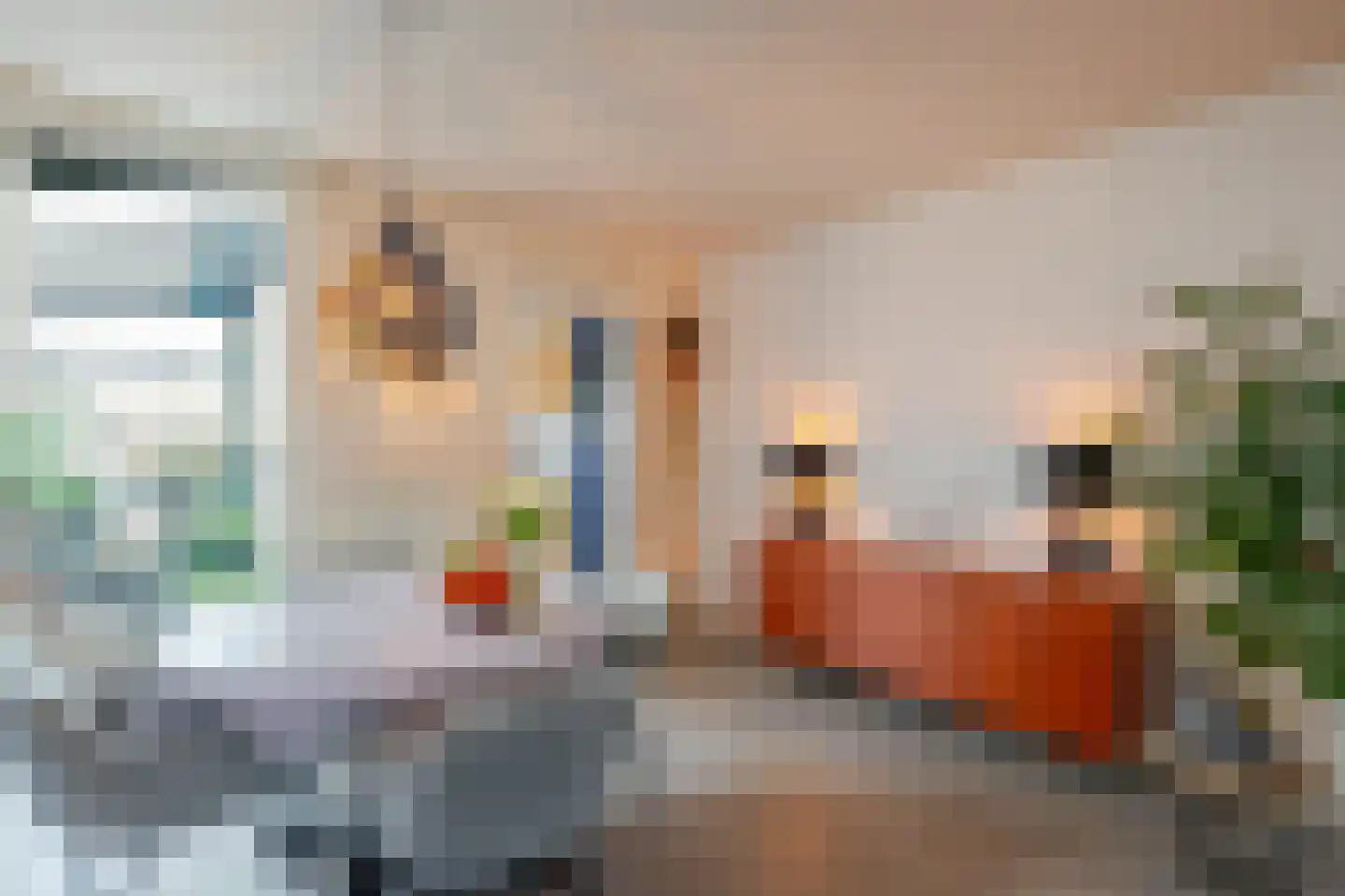 Dr. Langemeijerweg 12 Rheden thumbnail 8
