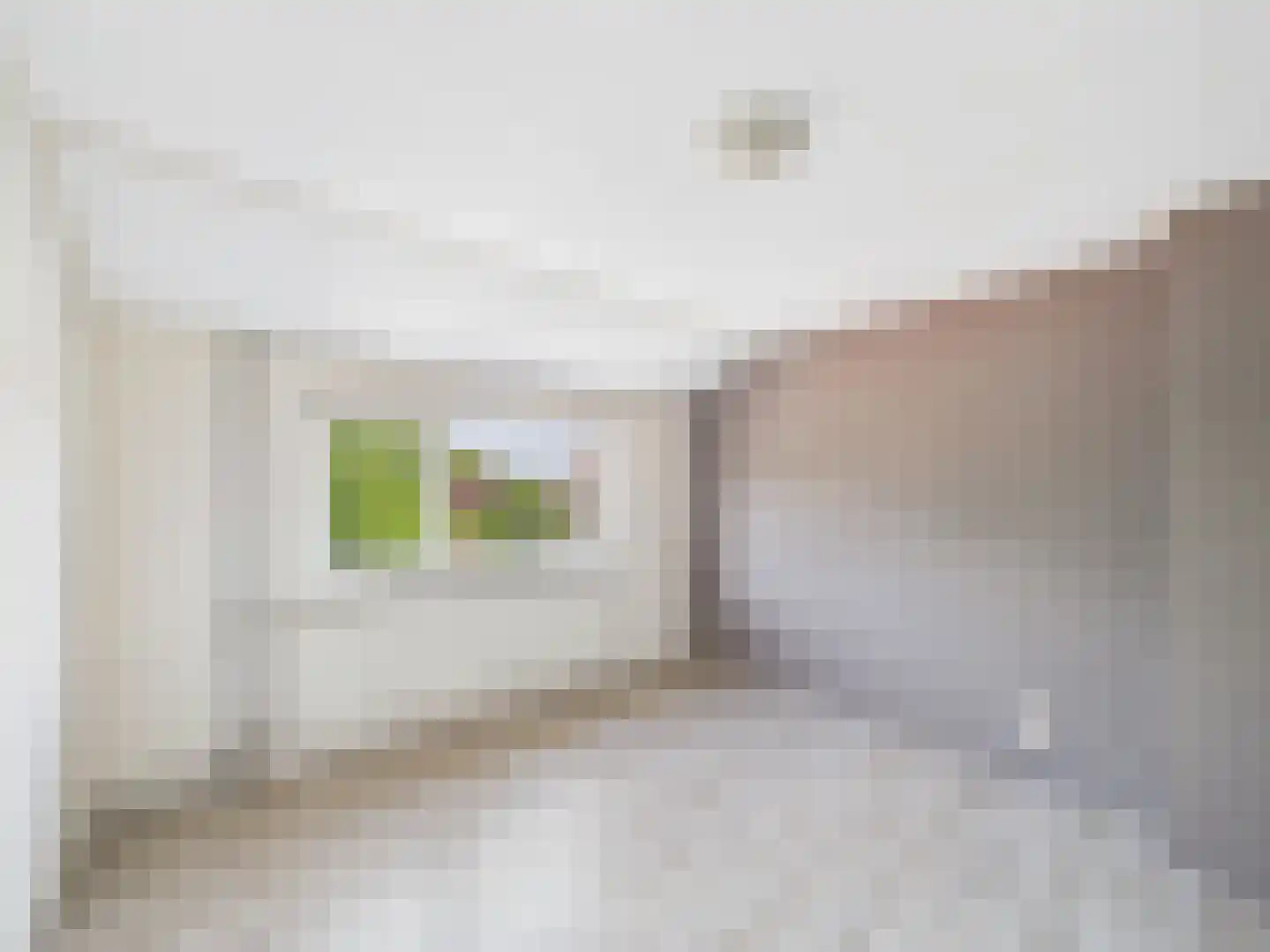 dr. Leenhoutsstraat 36 Hoek thumbnail 14