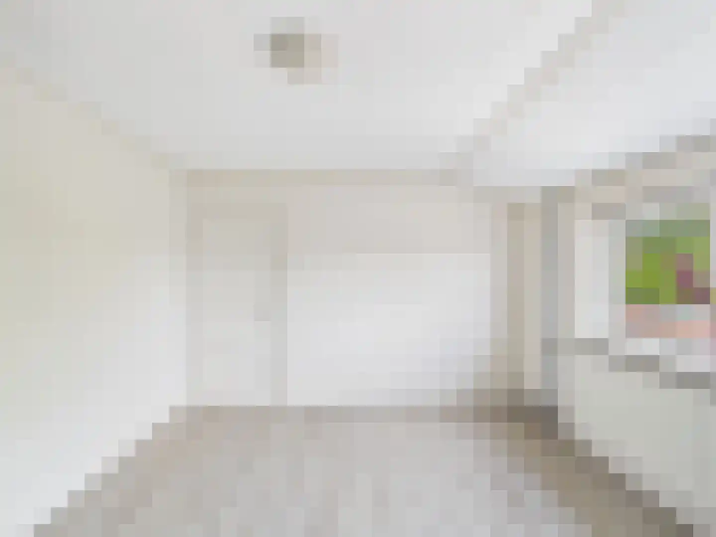 dr. Leenhoutsstraat 36 Hoek thumbnail 16