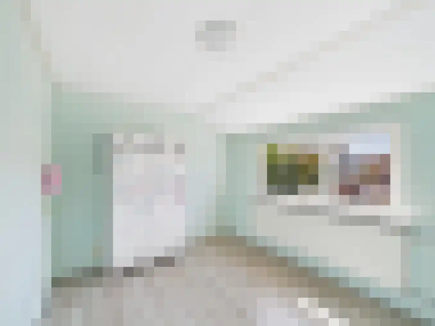 dr. Leenhoutsstraat 36 Hoek thumbnail 17
