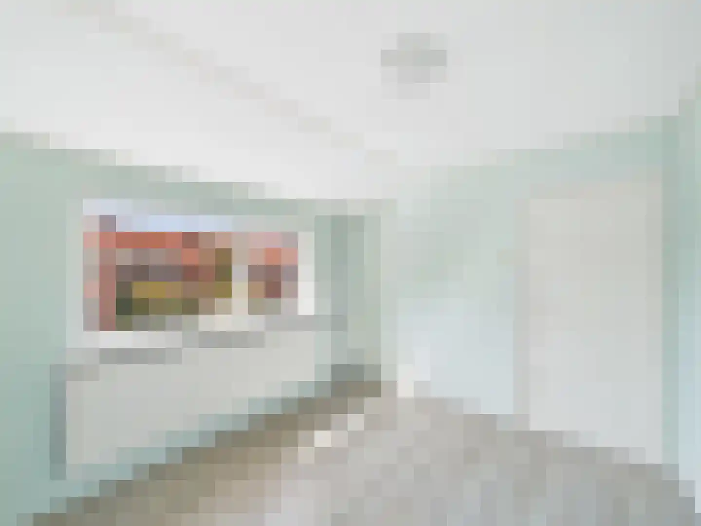 dr. Leenhoutsstraat 36 Hoek thumbnail 19