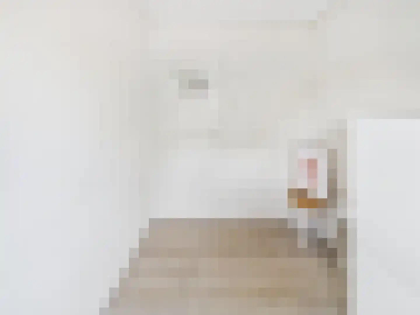 dr. Leenhoutsstraat 36 Hoek thumbnail 21