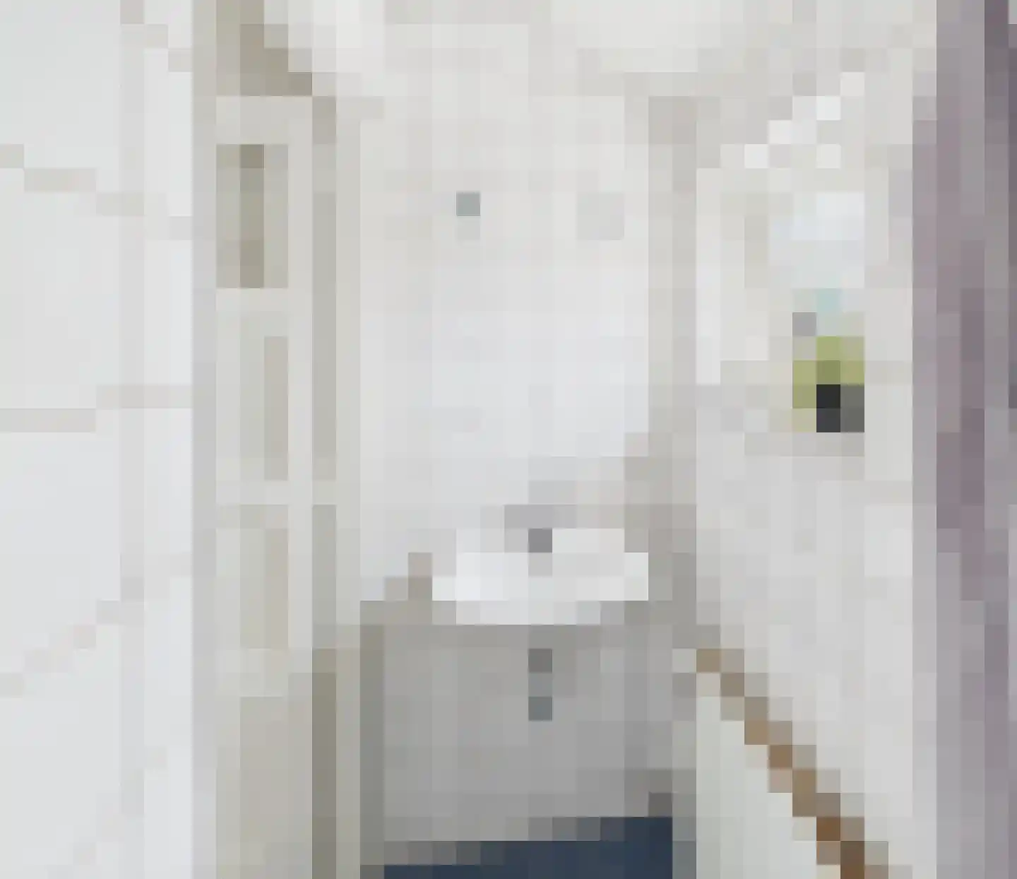 dr. Leenhoutsstraat 36 Hoek thumbnail 24