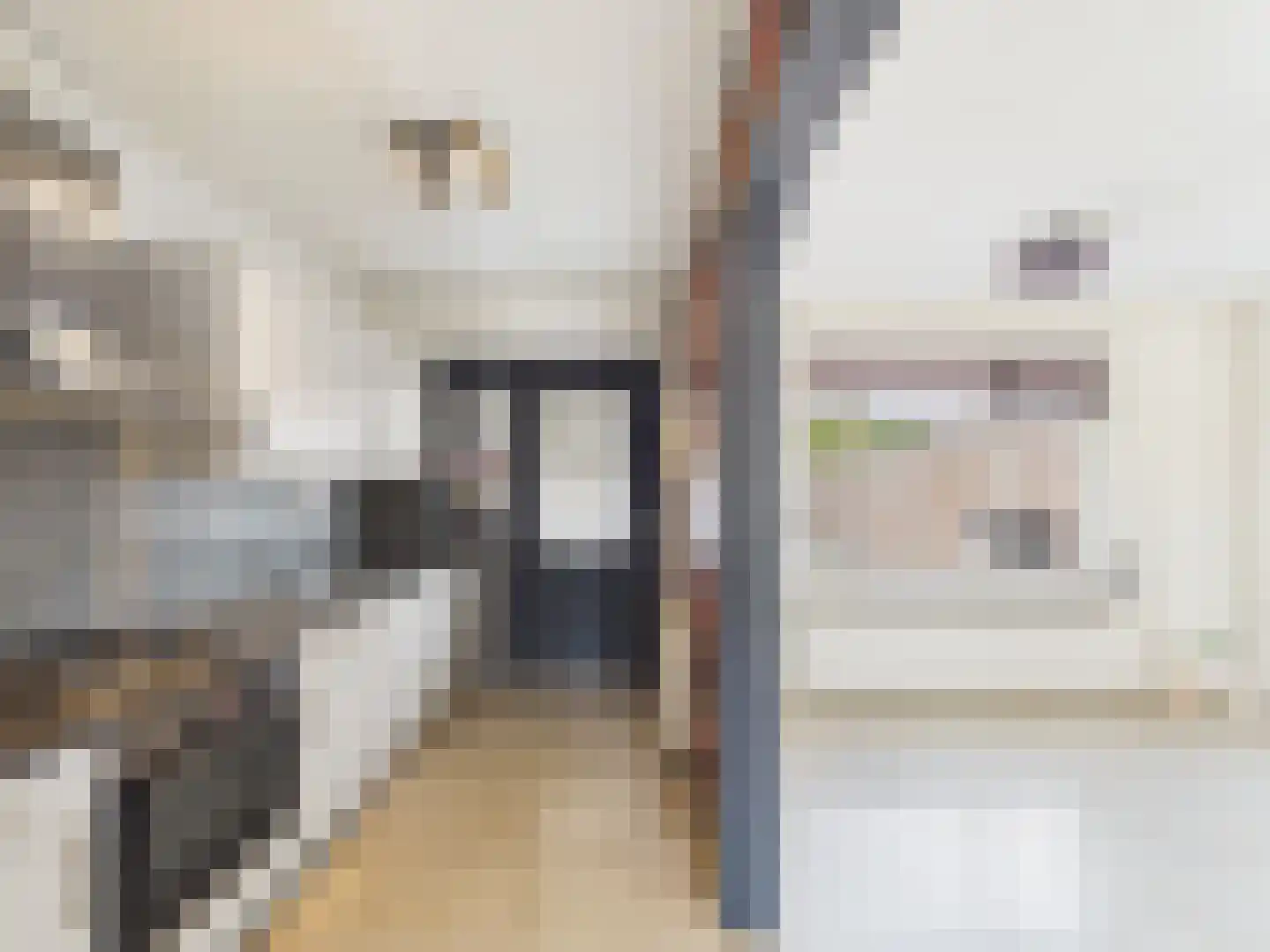 dr. Leenhoutsstraat 36 Hoek thumbnail 5