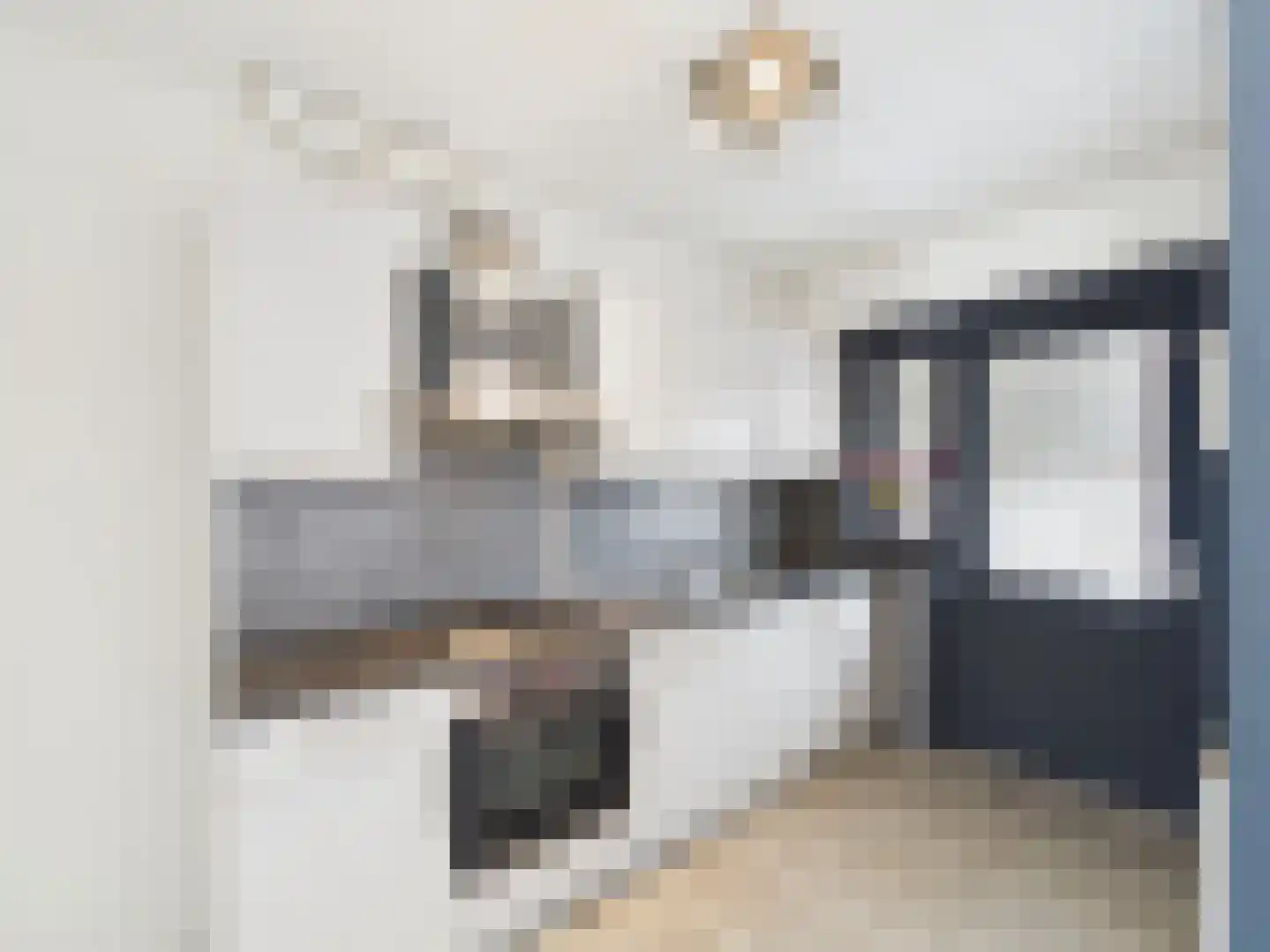 dr. Leenhoutsstraat 36 Hoek thumbnail 6