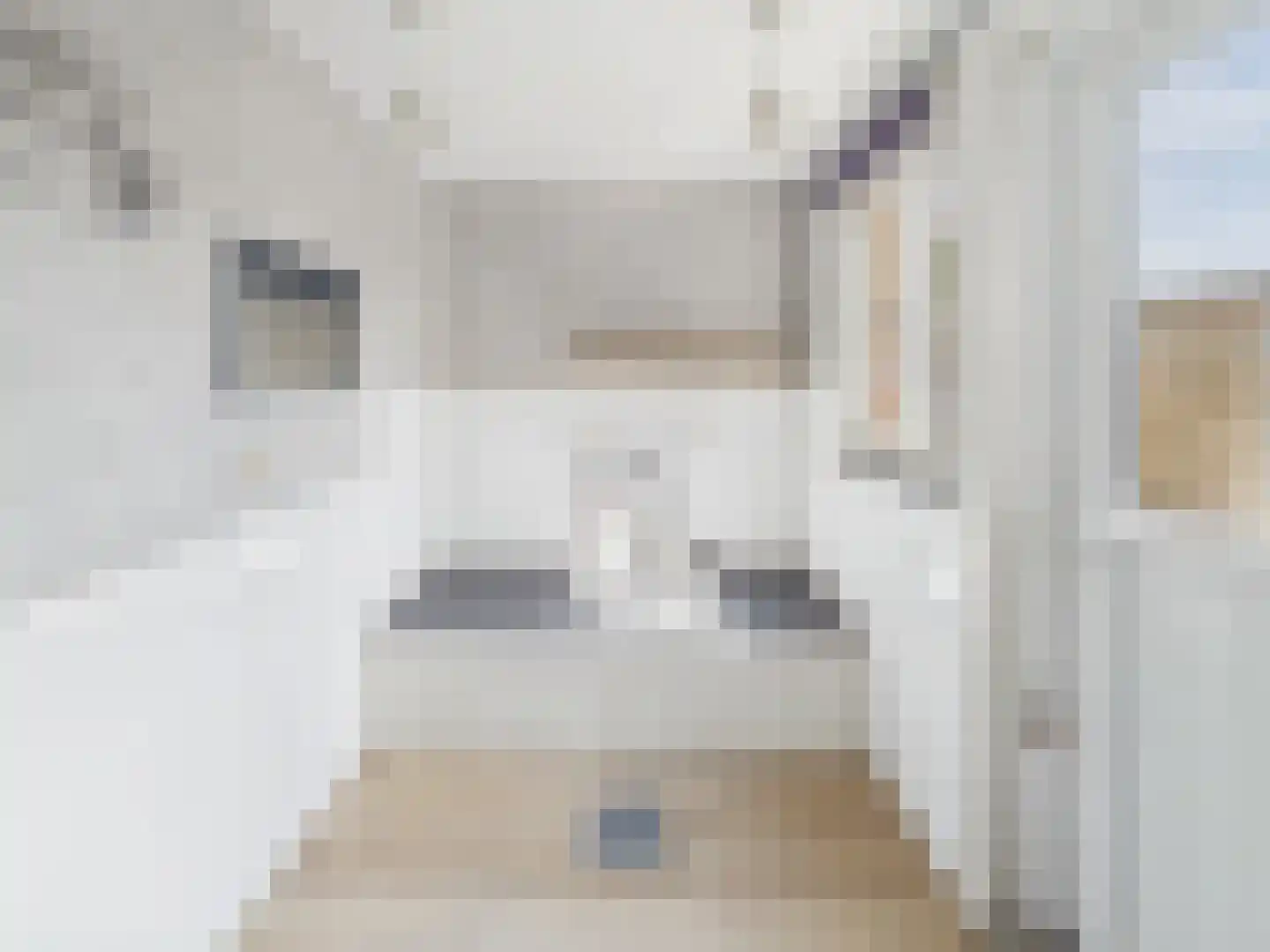 dr. Leenhoutsstraat 36 Hoek thumbnail 8