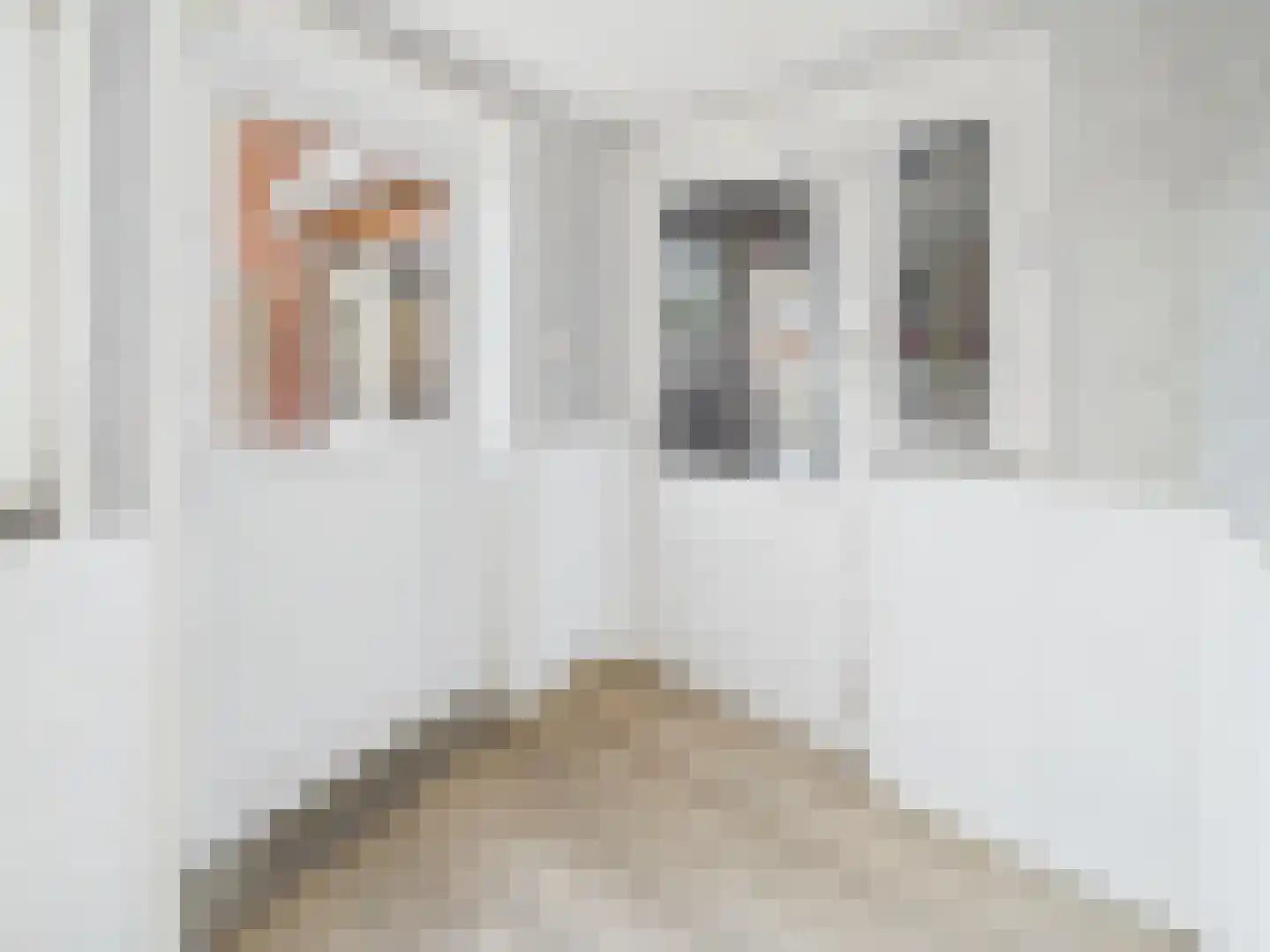 dr. Leenhoutsstraat 36 Hoek thumbnail 9