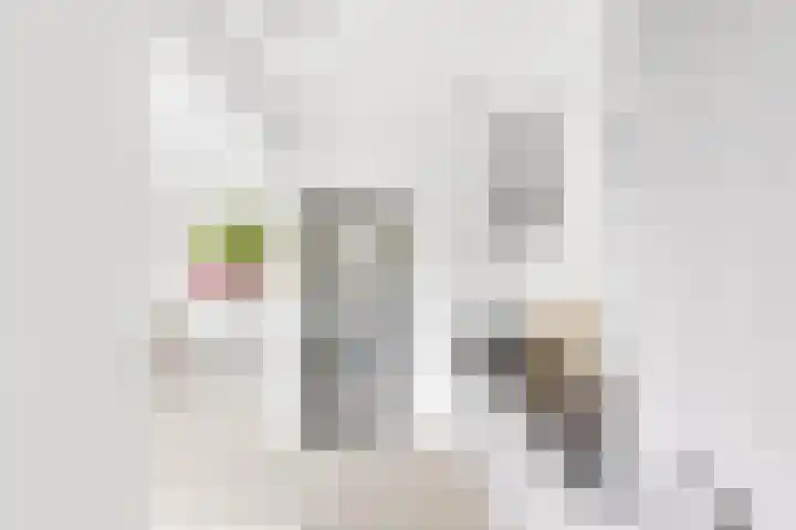 dr. Leenhoutsstraat 42 Hoek thumbnail 10