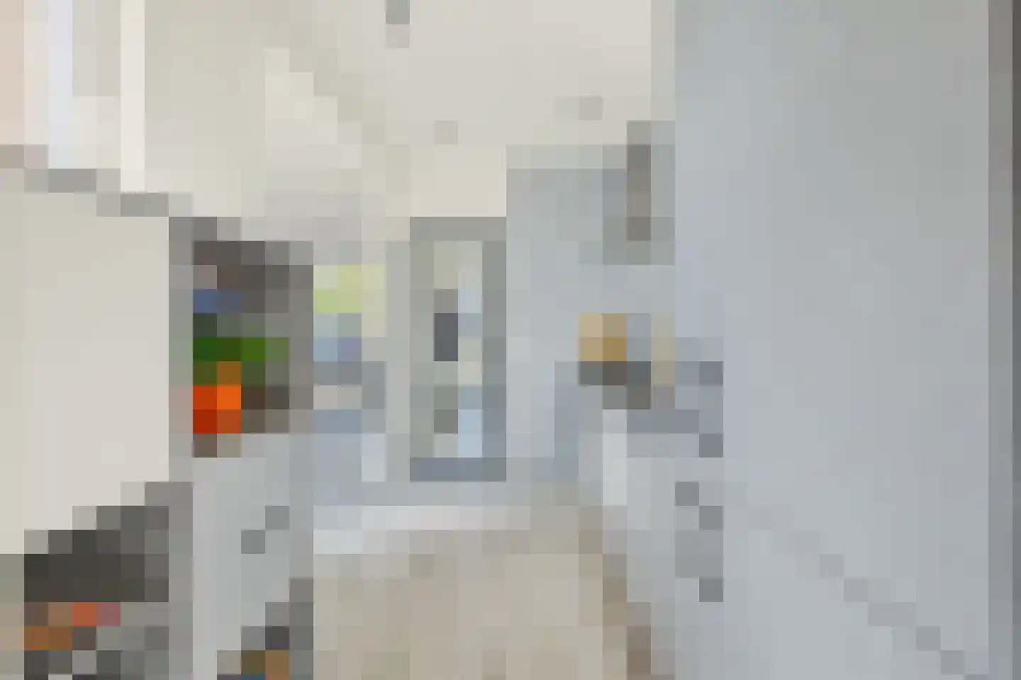 dr. Leenhoutsstraat 42 Hoek thumbnail 13