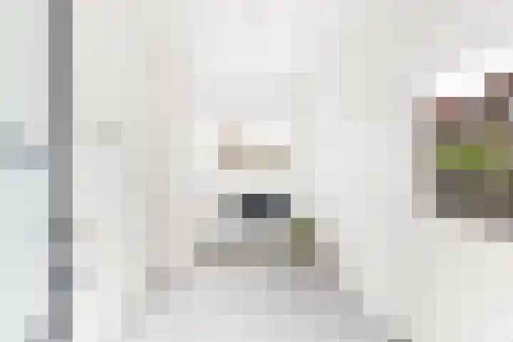 dr. Leenhoutsstraat 42 Hoek thumbnail 14