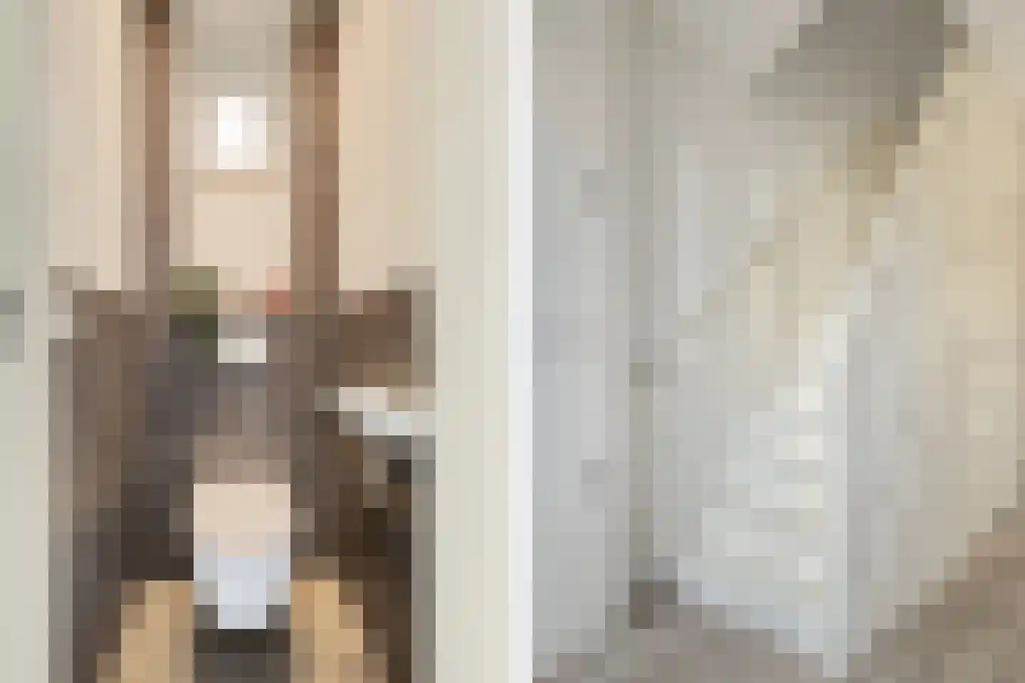 dr. Leenhoutsstraat 42 Hoek thumbnail 16