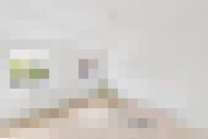 dr. Leenhoutsstraat 42 Hoek thumbnail 17