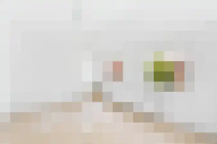 dr. Leenhoutsstraat 42 Hoek thumbnail 18