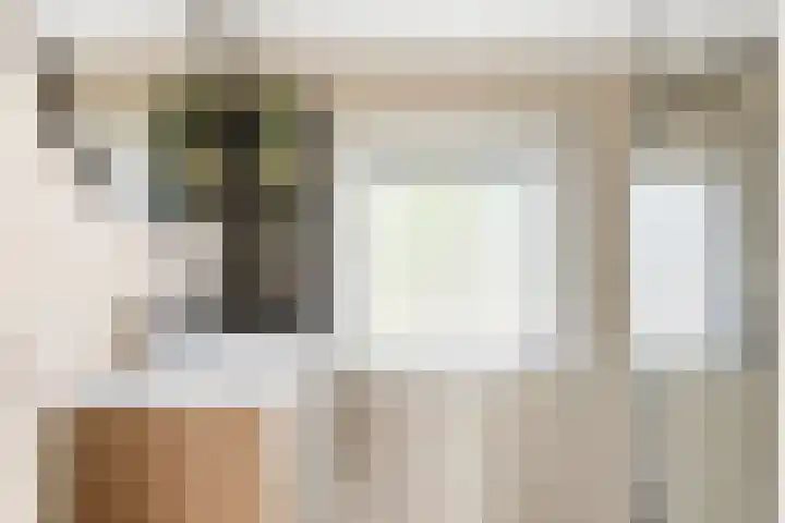 dr. Leenhoutsstraat 42 Hoek thumbnail 20