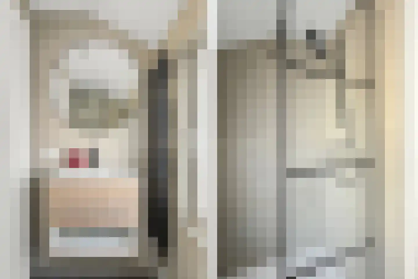dr. Leenhoutsstraat 42 Hoek thumbnail 22